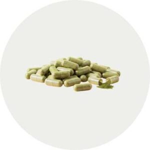 bulk kratom capsules as a stock image