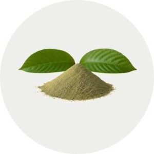 bulk kratom wholesale powder with kratom leaves